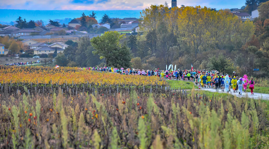 The Best Wine Festivals in France and Italy
