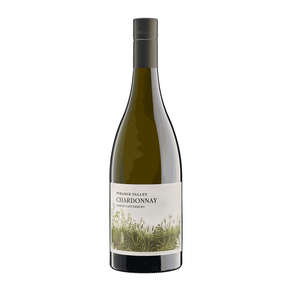 Pyramid Valley North Canterbury Chardonnay 2024 - DiVino.com.au