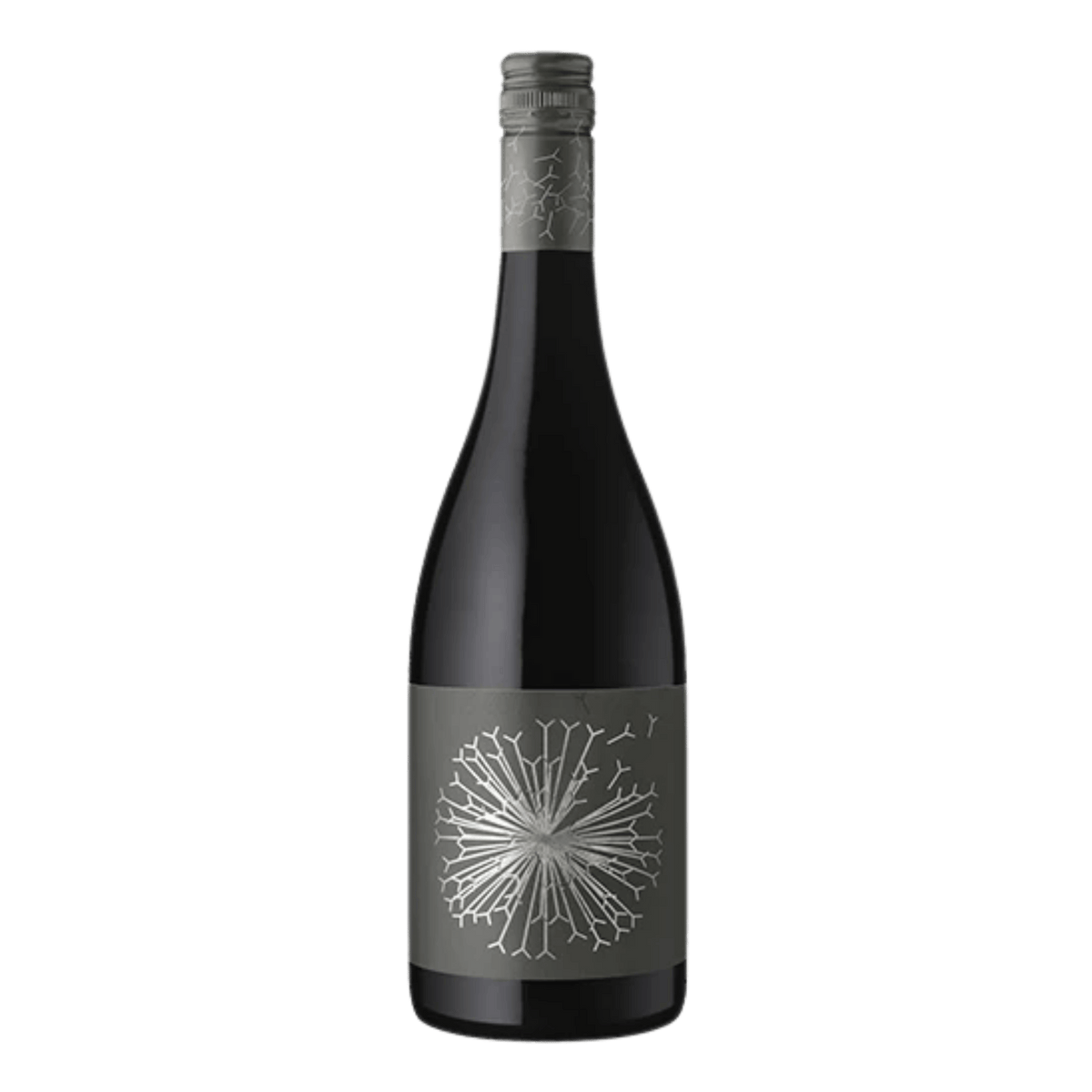 Dandelion Vineyards Firehawk McLaren Vale Shiraz - DiVino.com.au
