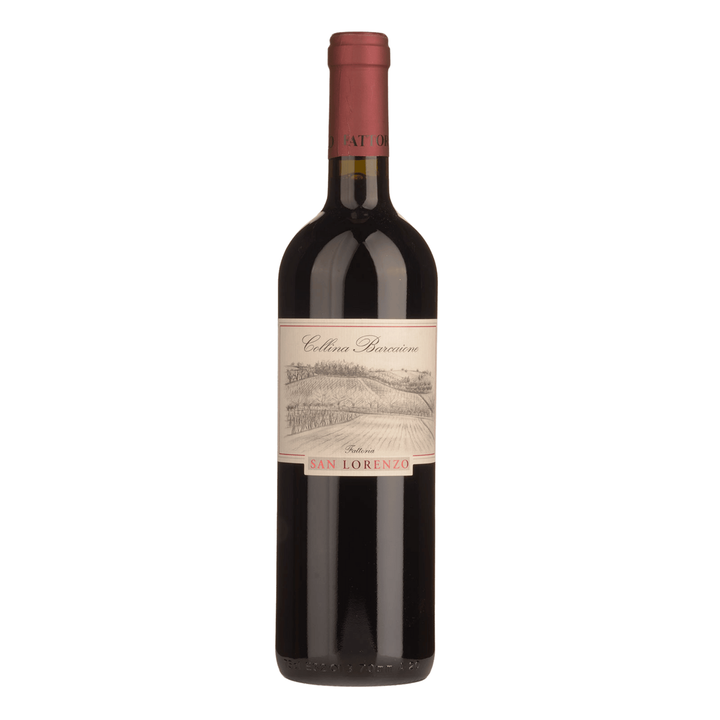 Fattoria San Lorenzo Collina Barcaione Marche Montepulciano IGT 2020 - DiVino.com.au