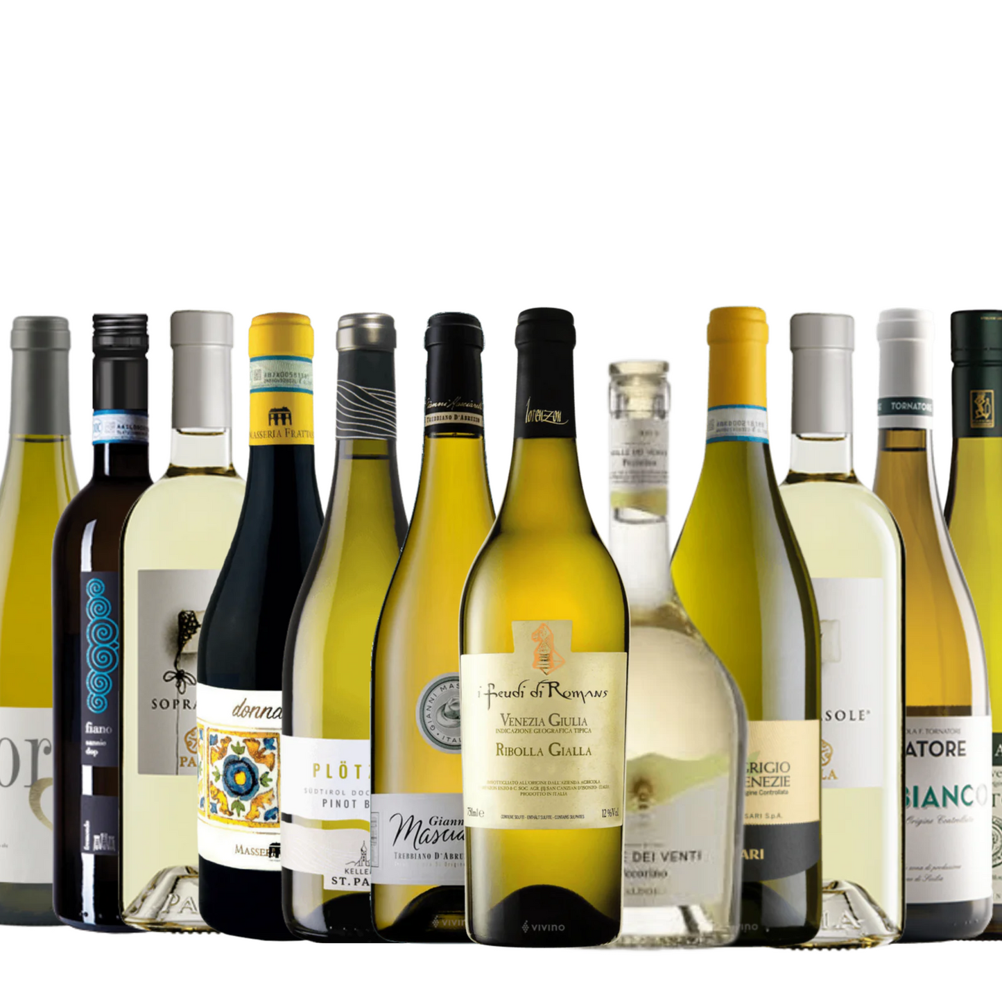 Festa Italiana - Bianci - 12-Pack