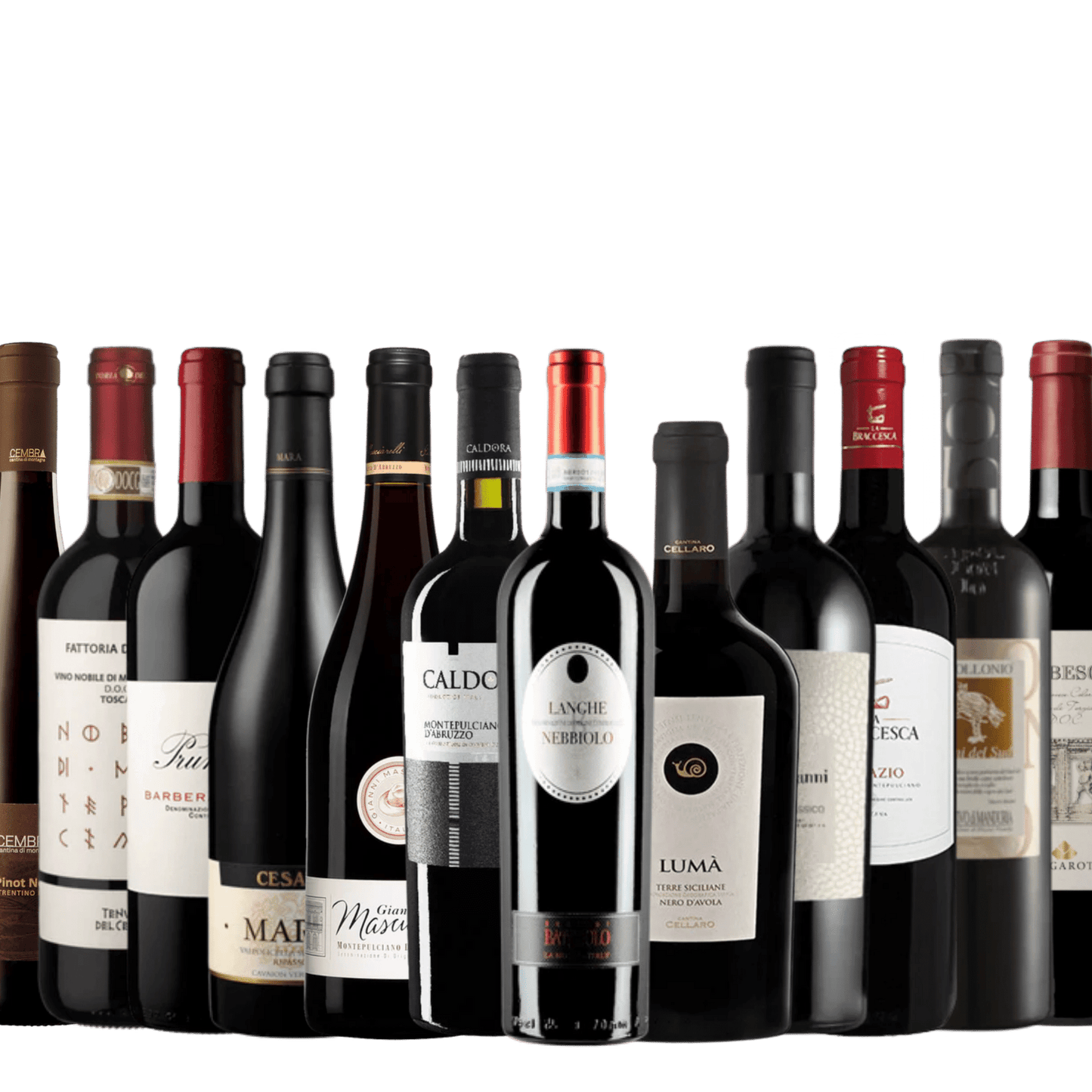Festa Italiana - Rossi - 12-Pack