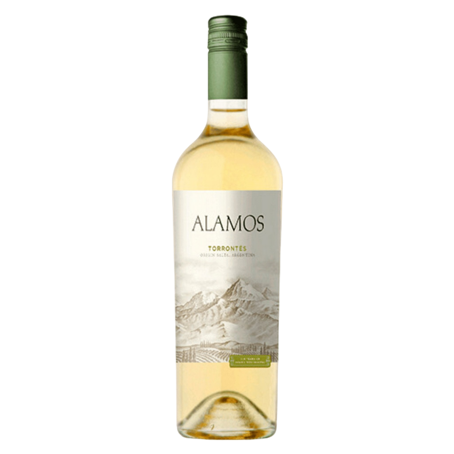 Alamos Torrontés 2022 - DiVino.com.au