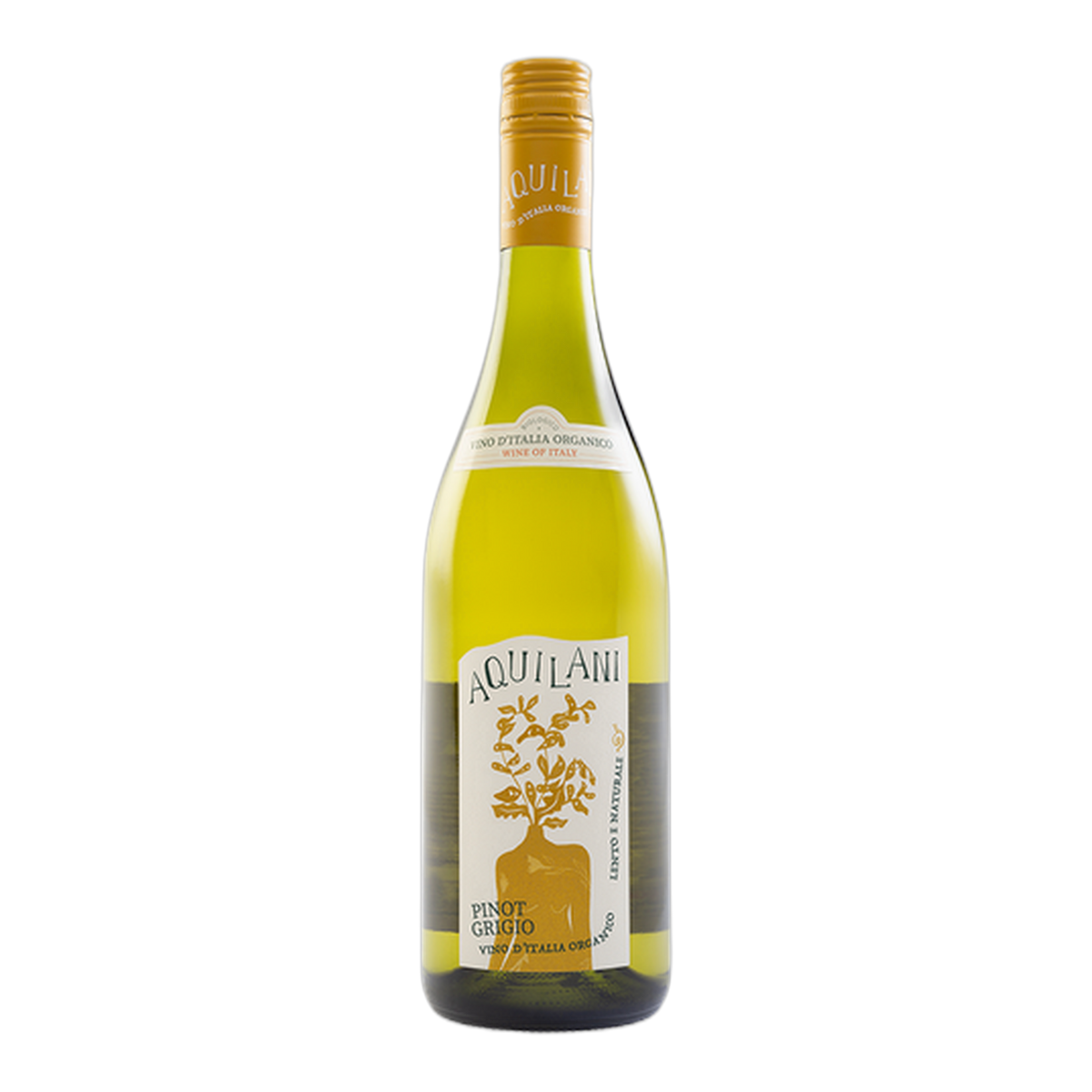 Aquilani Organic Pinot Grigio - DiVino.com.au