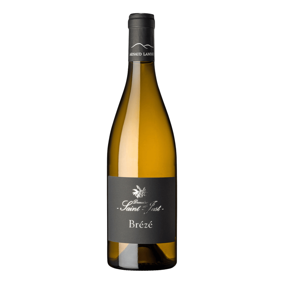 Arnaud Lambert Saumur Brézé Bourguenne - DiVino.com.au