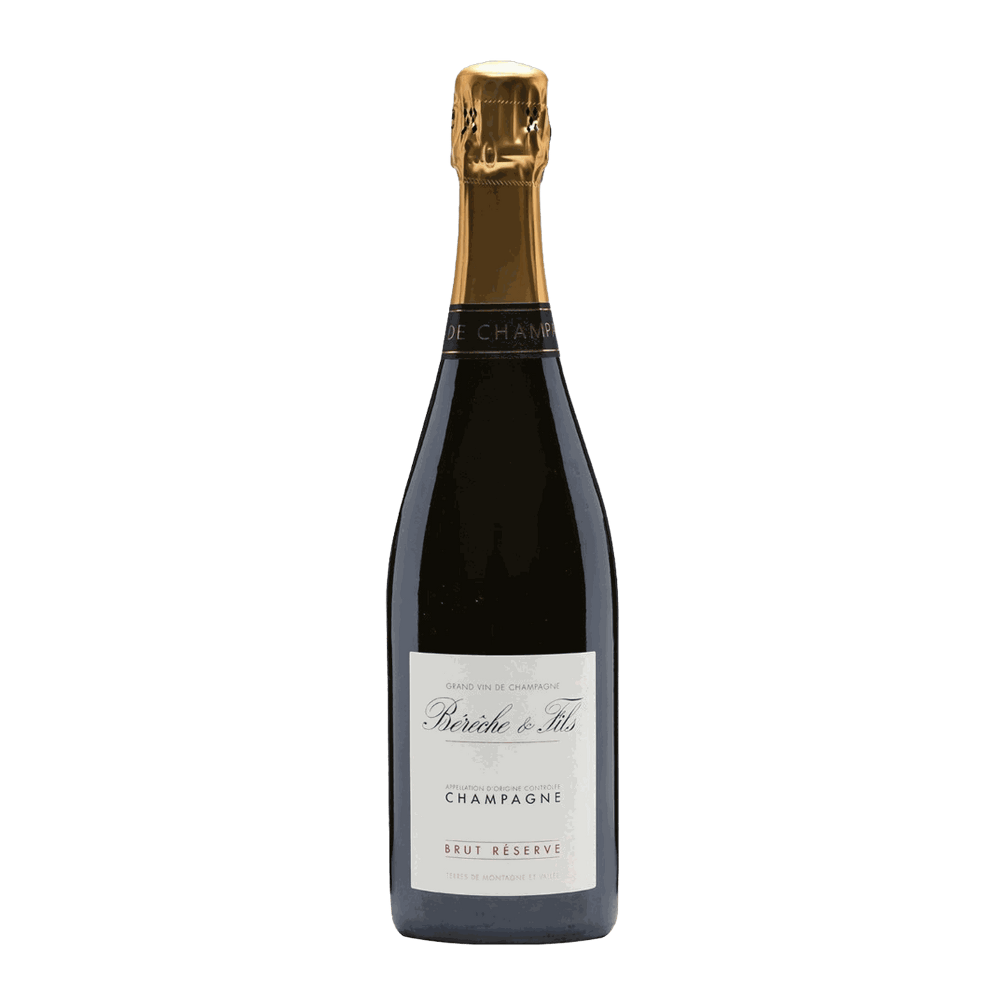 Champagne Bérêche et Fils Brut Réserve Vieilles Vignes Non Filtrée 1.5L MAGNUM - DiVino.com.au