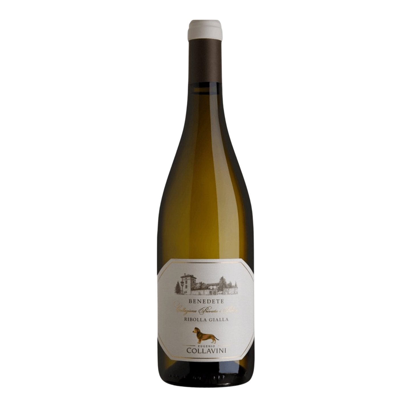 Collavini Ribolla Gialla IGT Benedete 2022 - DiVino.com.au
