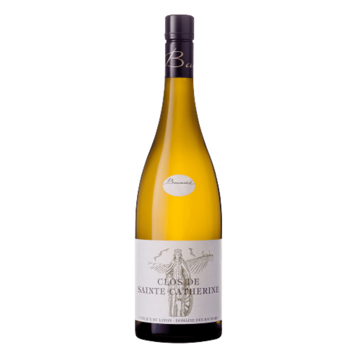 Domaine des Baumard Coteaux du Layon Clos St Catherine - DiVino.com.au