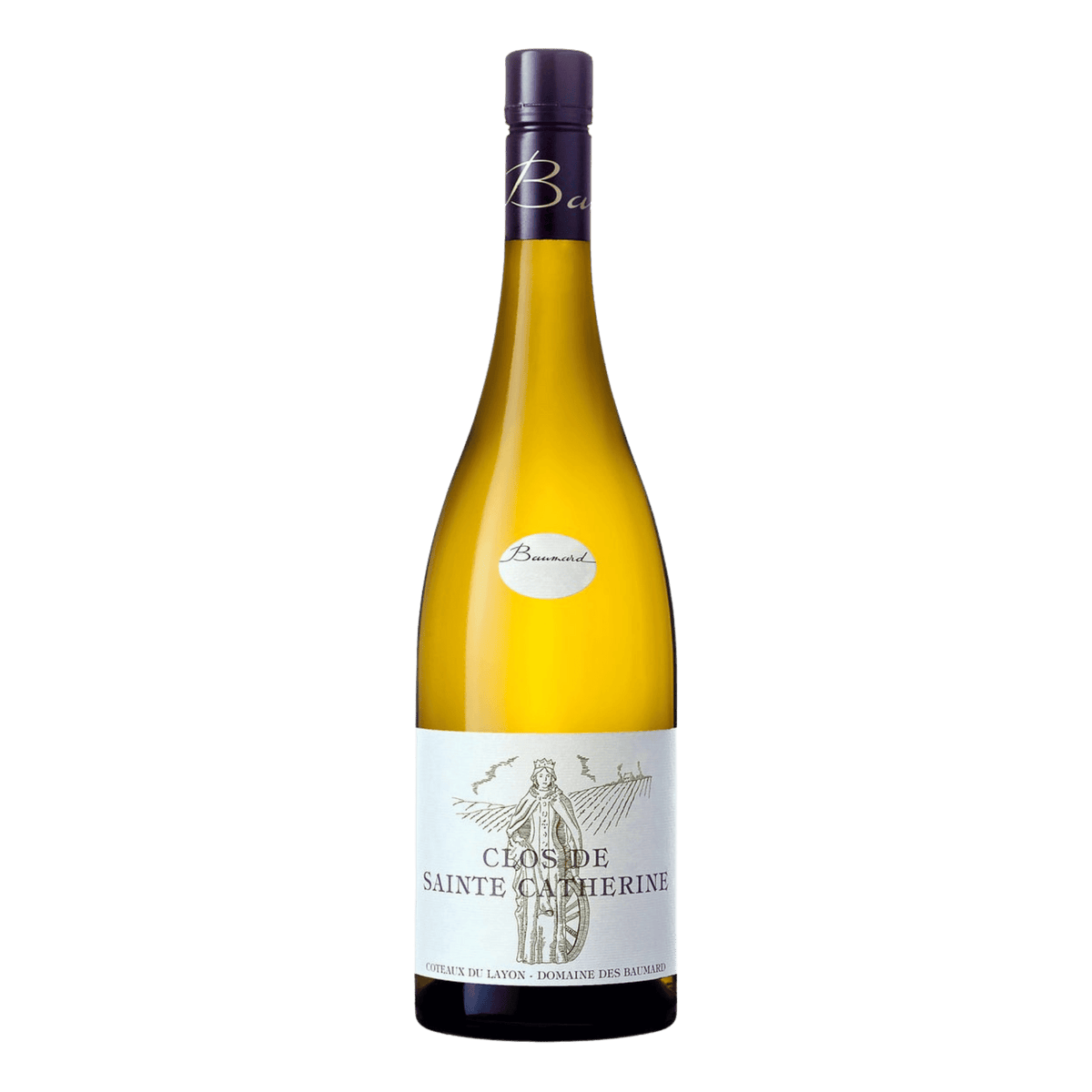 Domaine des Baumard Coteaux du Layon Clos St Catherine 500ml - DiVino.com.au