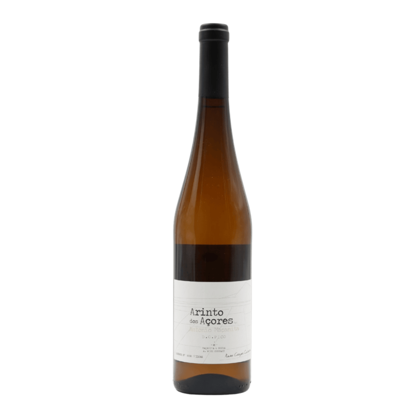 Domaine Sylvie Esmonin Bourgogne Aligoté - DiVino.com.au