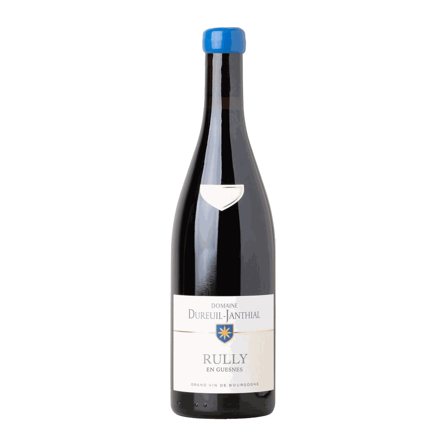 Domaine Vincent Dureuil-Janthial Rully Rouge En Guesnes - DiVino.com.au