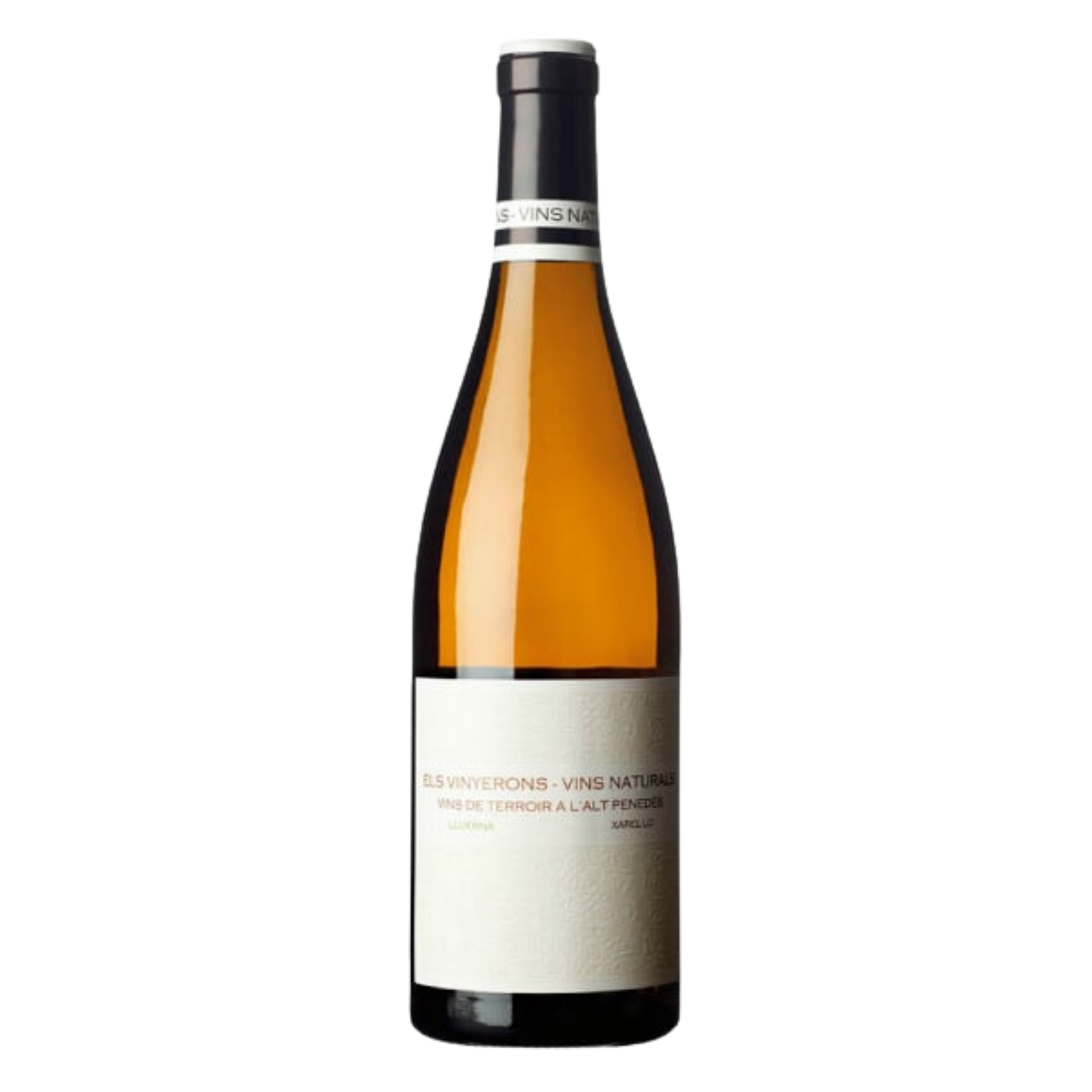 Els Vinyerons Vins Naturals Lluerna Blanc Xarel-lo Penedès Zero Sulphur - DiVino.com.au