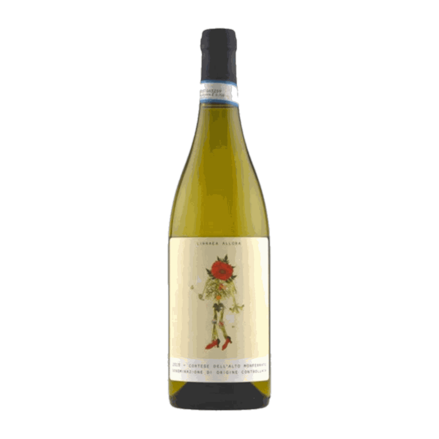 Linnaea Allora Cortese Dell'Alto Monferrato DOC - DiVino.com.au