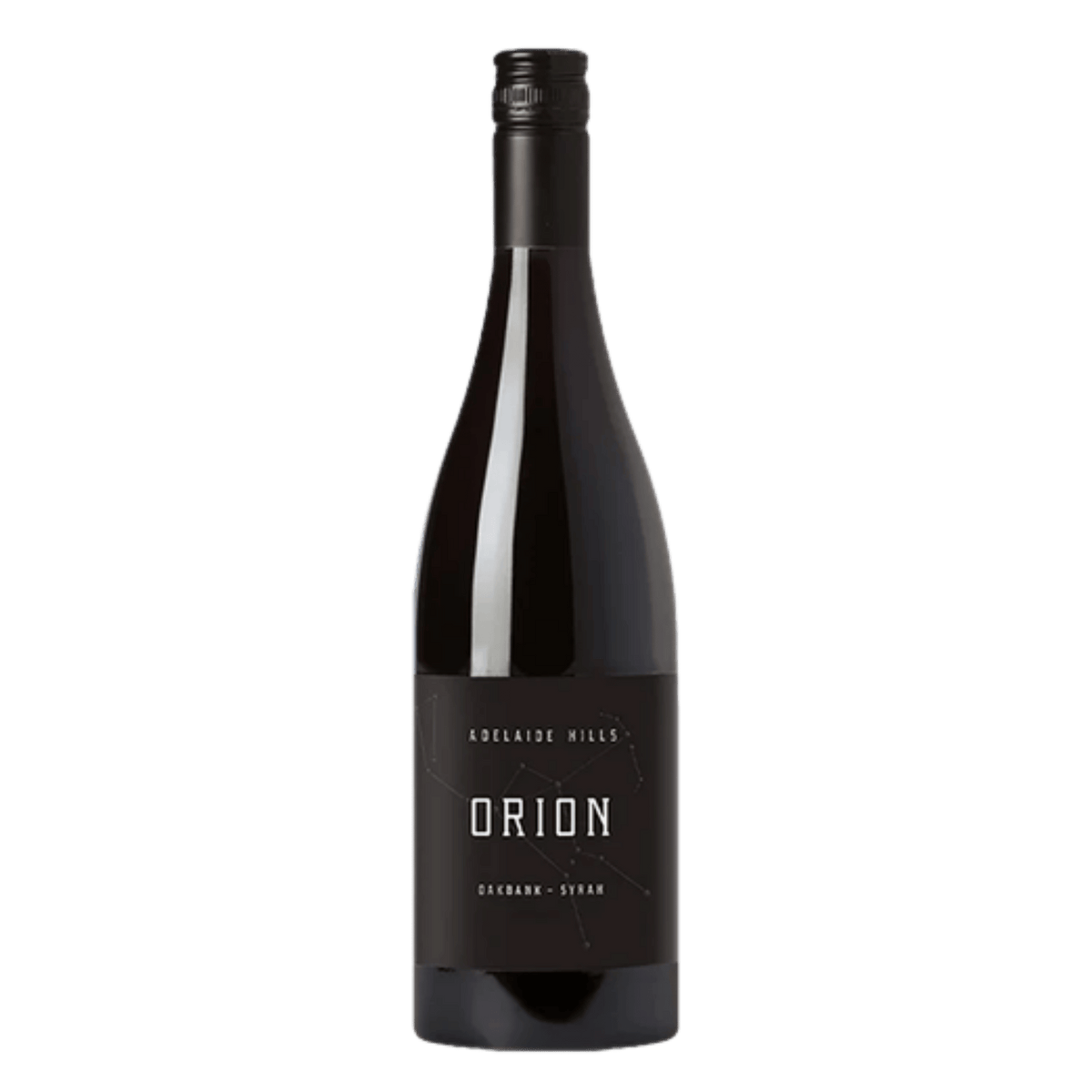 Murdoch Hill Orion Shiraz - DiVino.com.au
