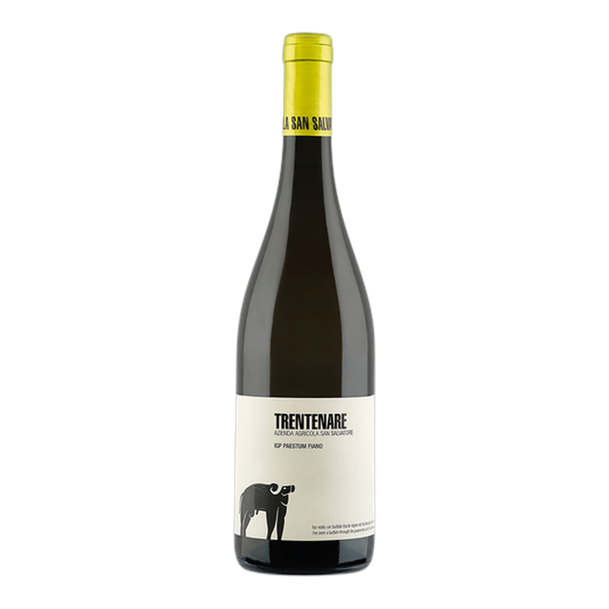 San Salvatore 19.88 Trentenare Paestum Fiano - DiVino.com.au