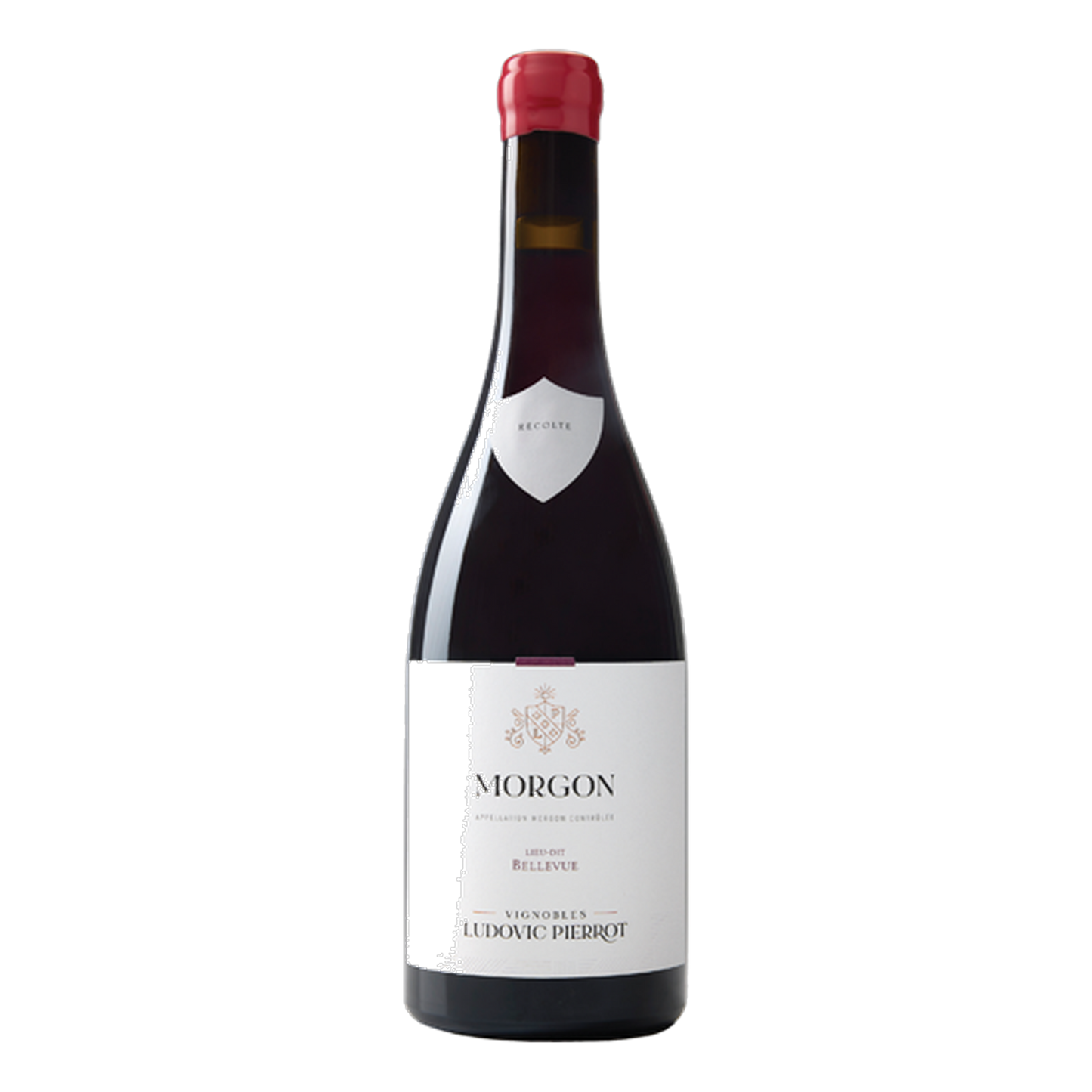 Vignobles Ludovic Pierrot Morgon Lieu-Dit 'Bellevue' - DiVino.com.au