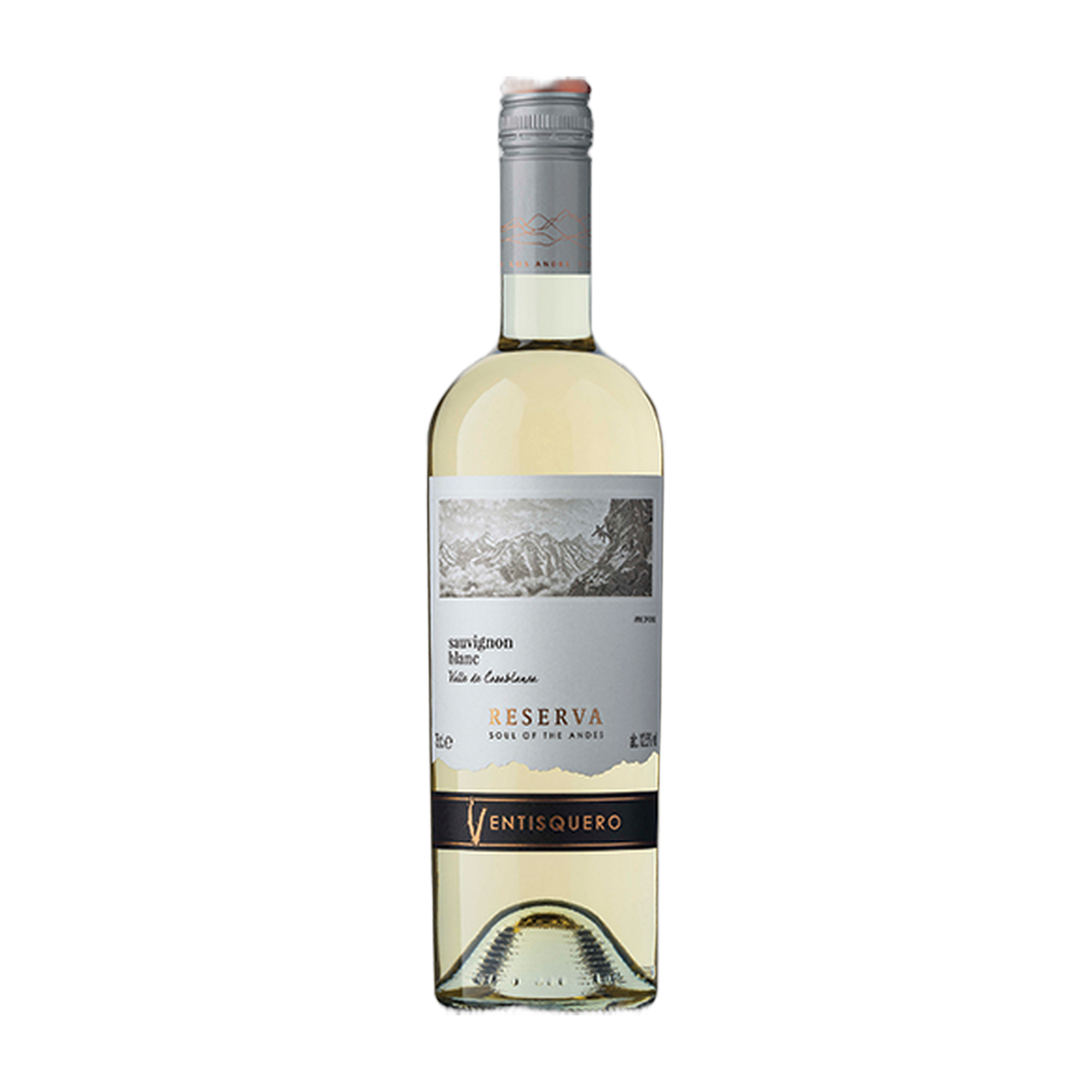 Viña Ventisquero Reserva Sauvignon Blanc - DiVino.com.au