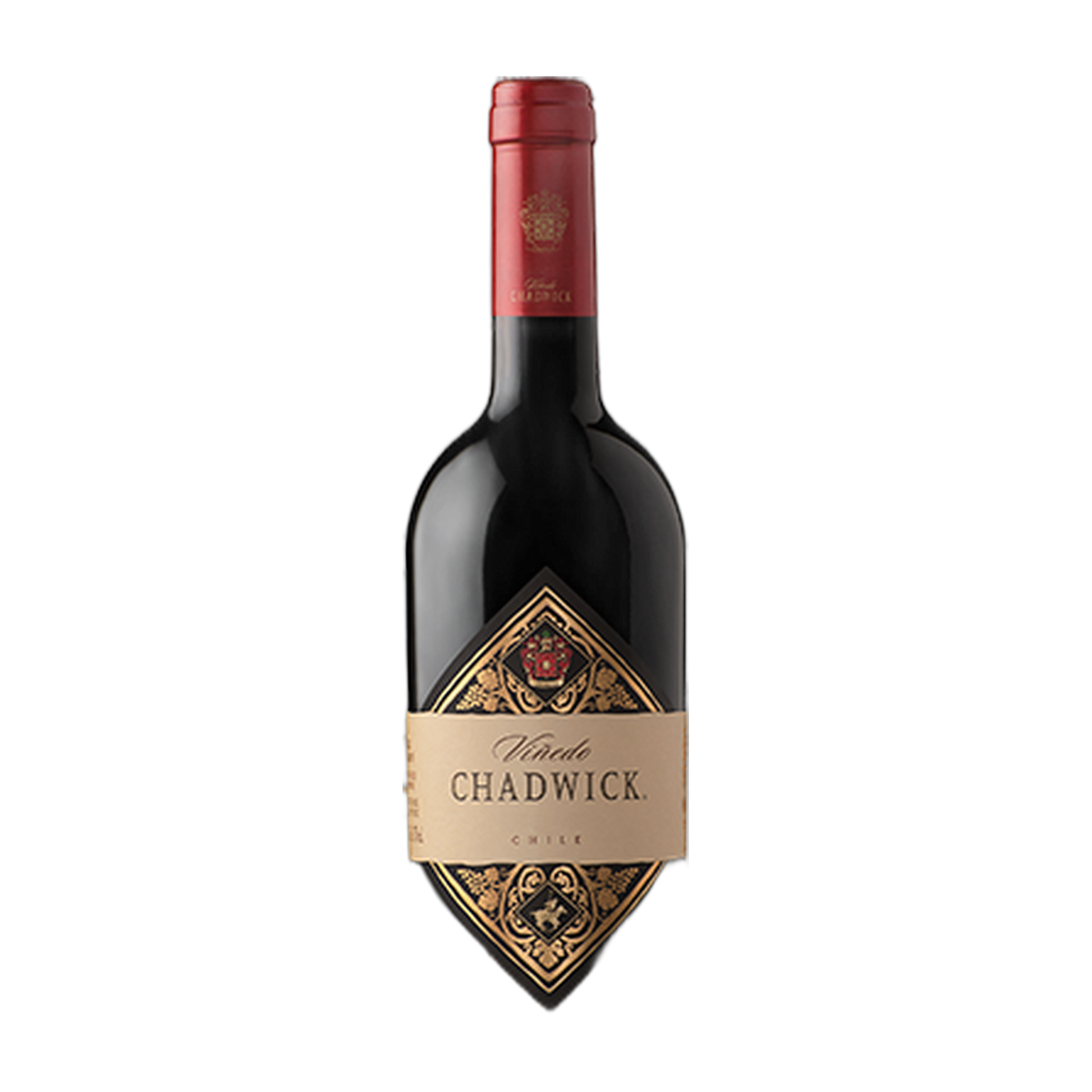 Viñedo Chadwick - DiVino.com.au