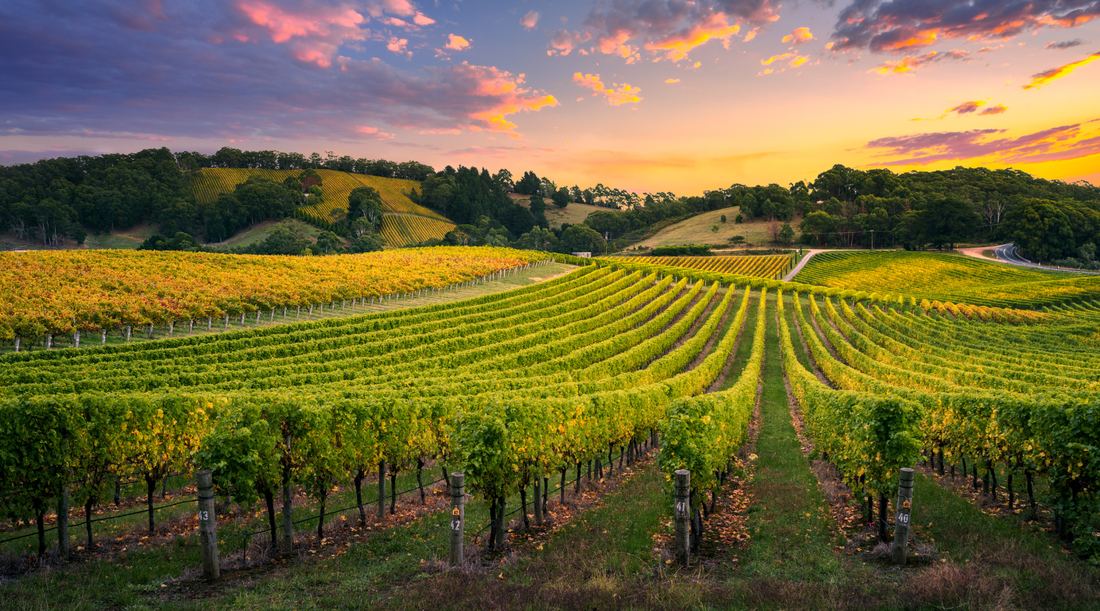 What Are The Benefits of European Wine?