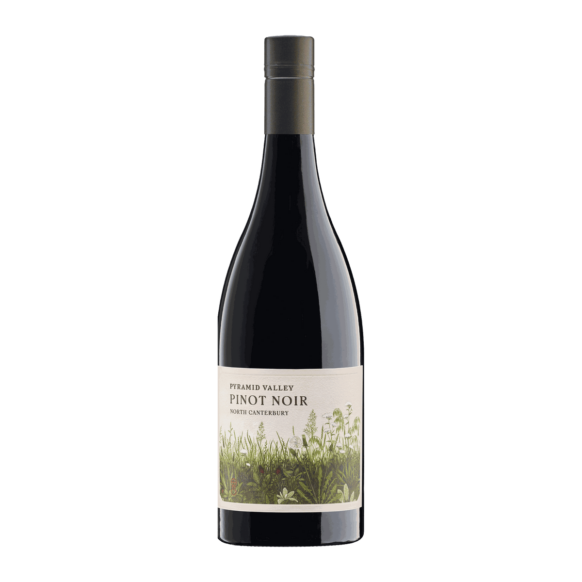 Pyramid Valley North Canterbury Pinot Noir 2021 - DiVino.com.au