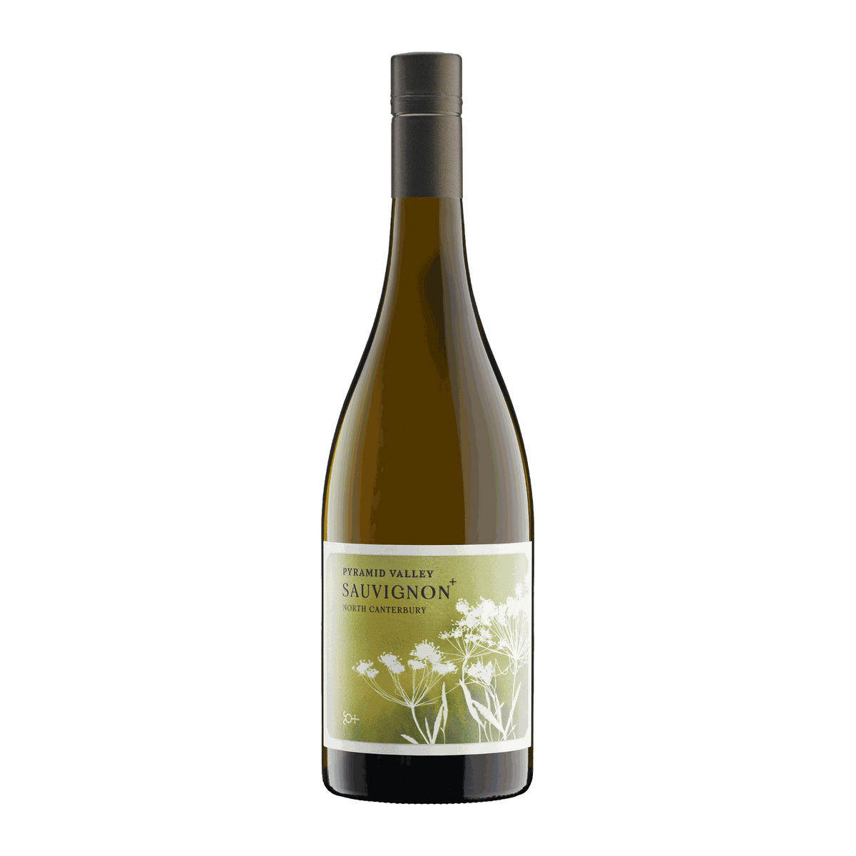 Pyramid Valley Marlborough Sauvignon + 2022 - DiVino.com.au