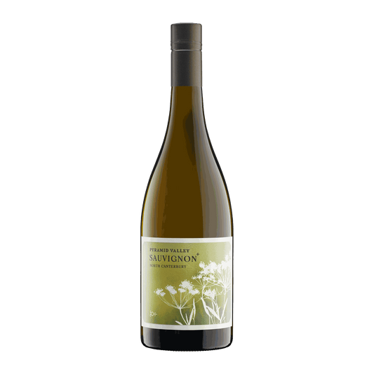 Pyramid Valley Marlborough Sauvignon + 2022 - DiVino.com.au