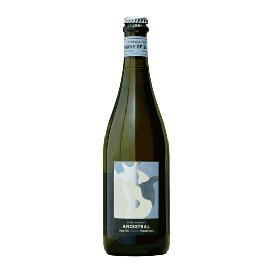 Commune of Buttons Blanc de Blancs Method Ancestral Sparkling 2022 - DiVino.com.au