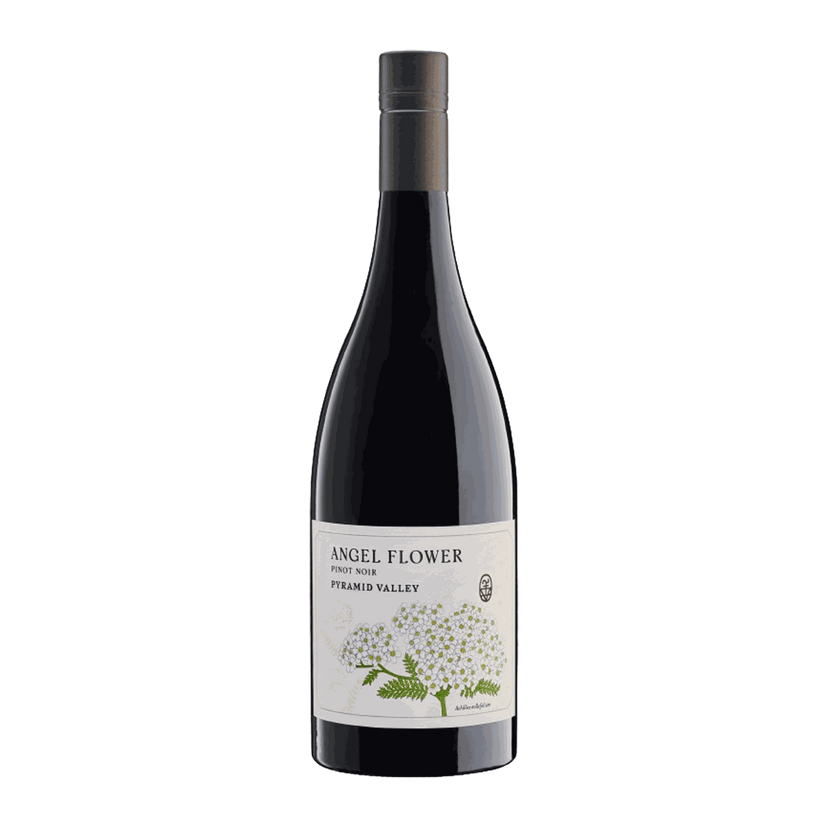 Pyramid Valley Angel Flower Pinot Noir 2022 - DiVino.com.au