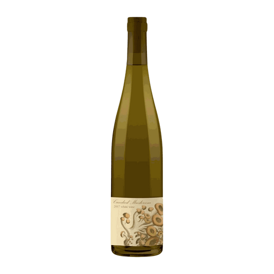 Teutonic Candied Mushroom Riesling 2022 - DiVino.com.au