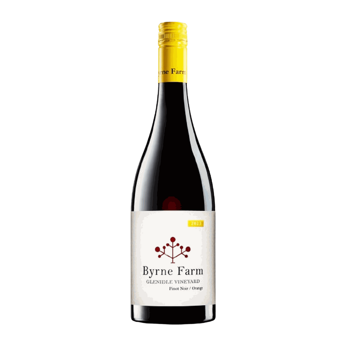 Byrne Farm 'Glenidle Vineyard' Pinot Noir 2023 - DiVino.com.au