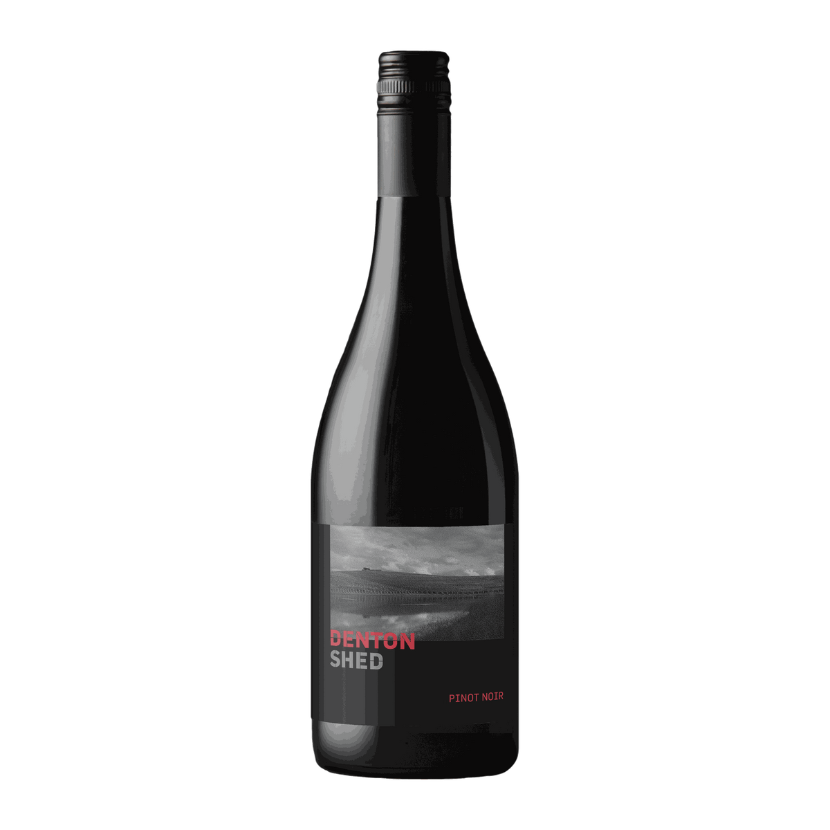 Denton Shed Pinot Noir 2024 - DiVino.com.au