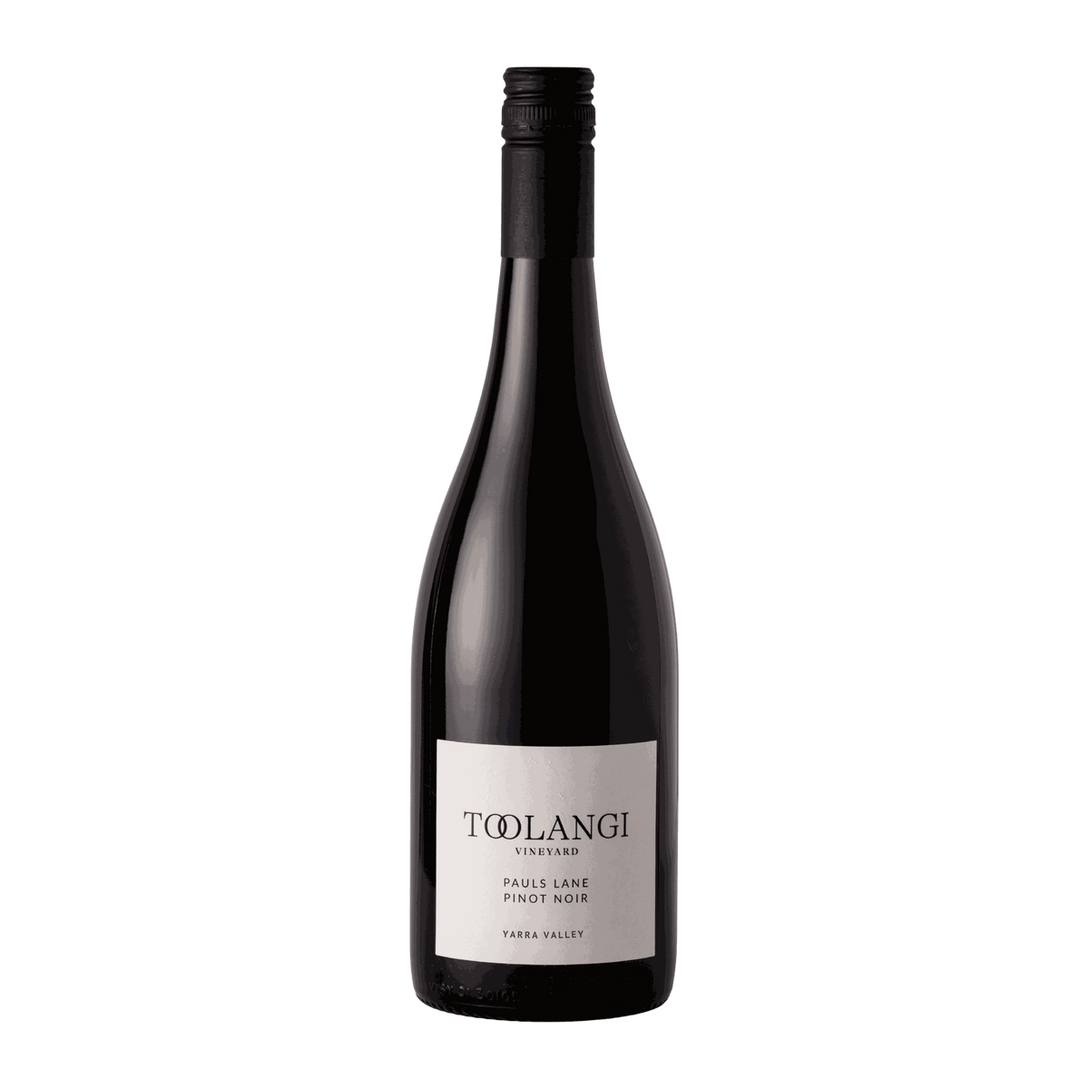Toolangi Vineyard Pauls Lane Pinot Noir 2024 - DiVino.com.au