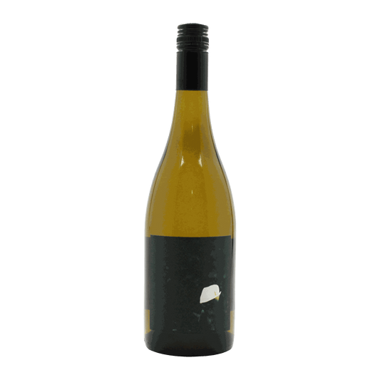 Little Reddie Dash Farms Blanc 2024 - DiVino.com.au