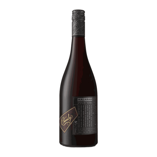 Quealy Halarah Pinot Noir 2024 - DiVino.com.au