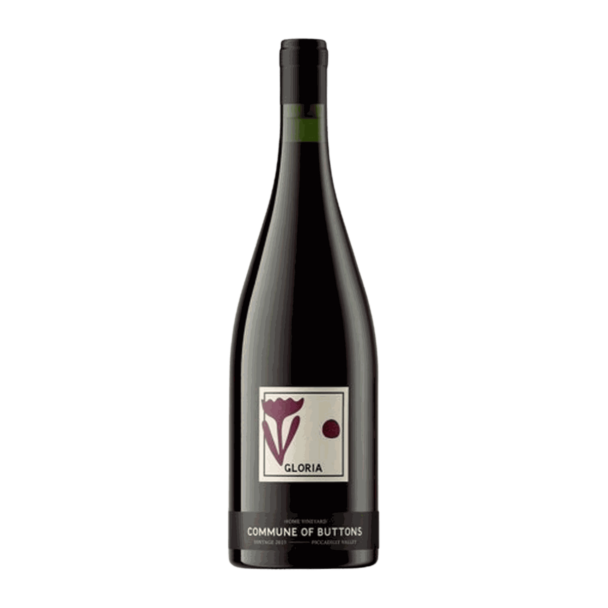 Commune of Buttons Gloria Pinot Noir 2025 - DiVino.com.au