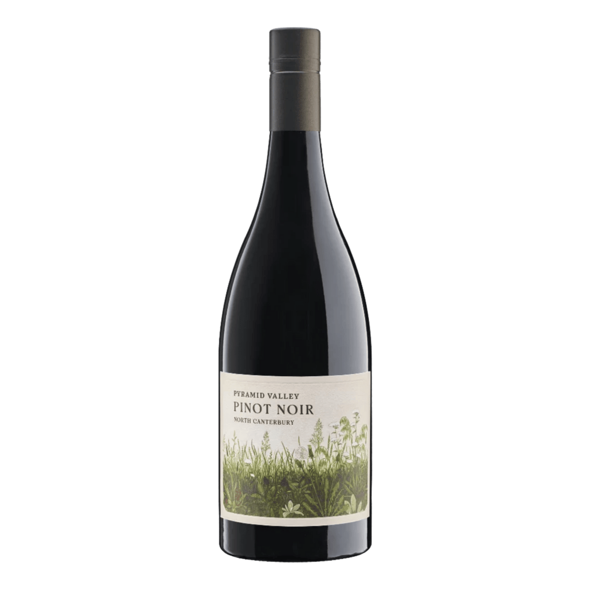 Pyramid Valley North Canterbury Pinot Noir 2024 - DiVino.com.au