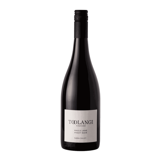 Toolangi Vineyard Pauls Lane Pinot Noir 2025 - DiVino.com.au