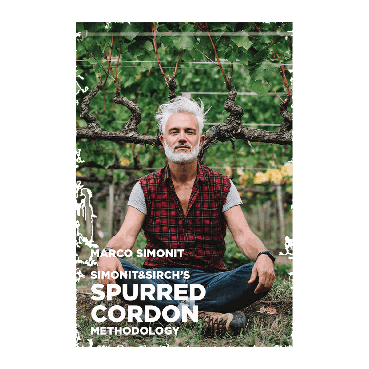 Simonit & Sirch's Cordon Methodology by Marco Simonit - DiVino.com.au