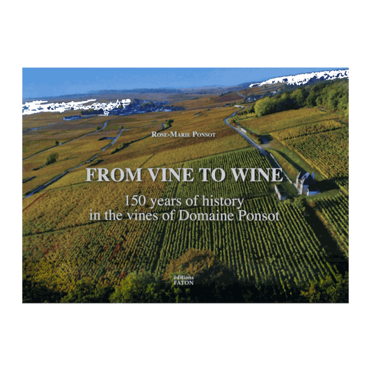 From Vine to Wine by Rose-Marie Ponsot - DiVino.com.au