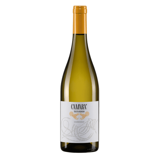 ⁠Tenuta Mazzolino Camarà Pavia IGT Chardonnay 2024 - DiVino.com.au