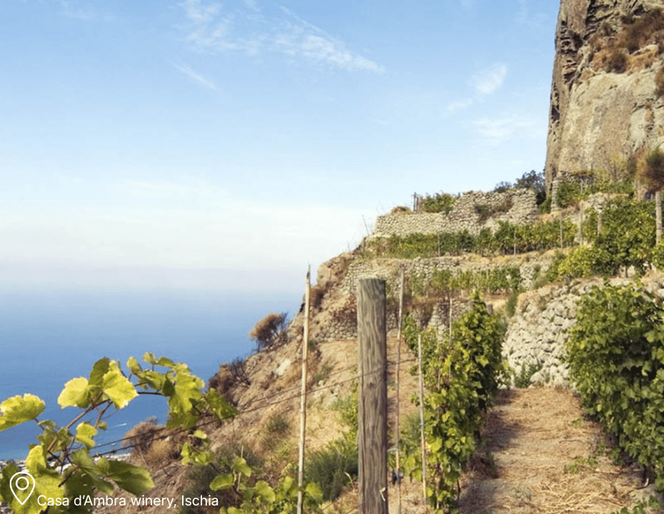 Italian Wine Trip - Ischia, inland Campania & Amalfi Coast - 10-17 July 2026 DEPOSIT