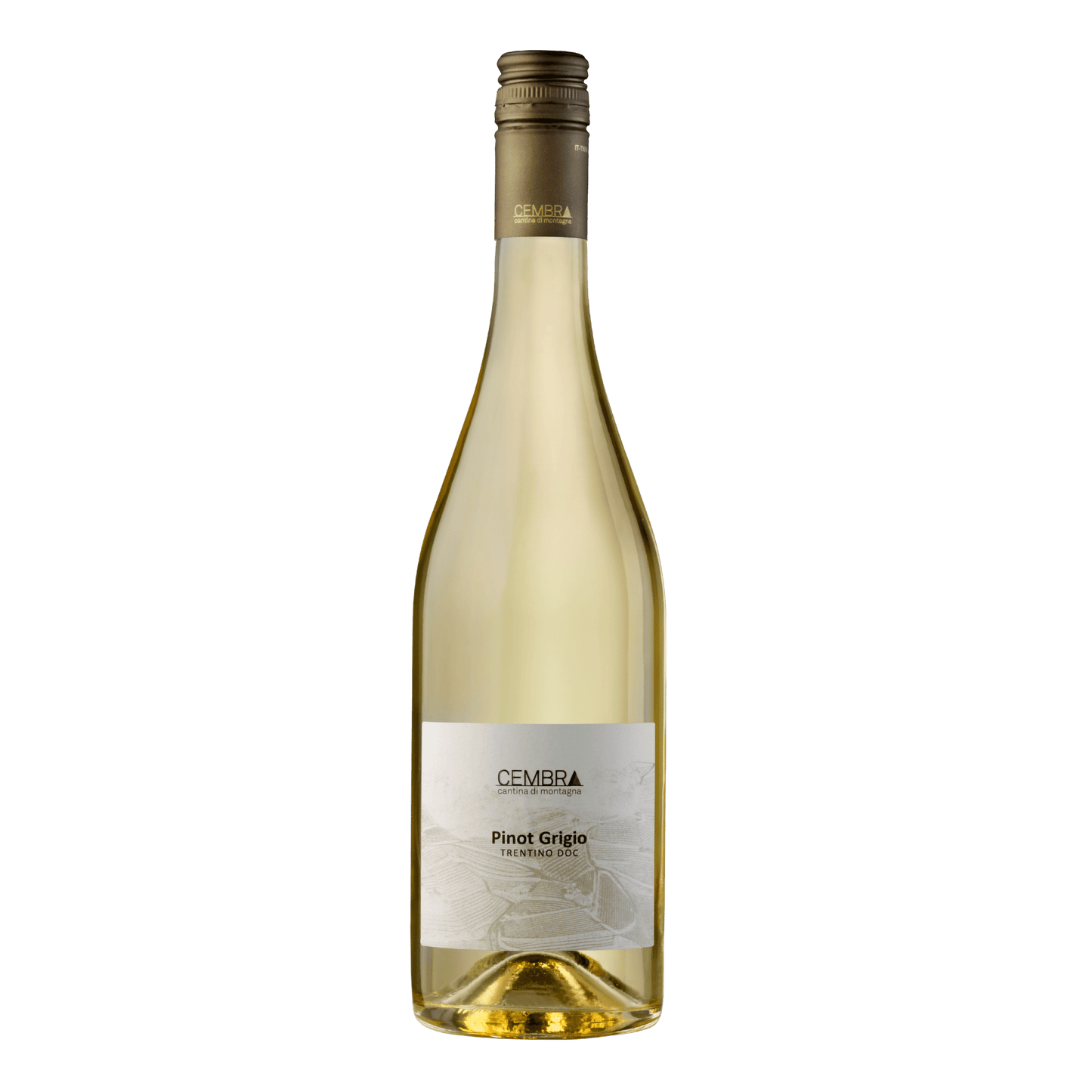 Cembra Pinot Grigio Trentino DOC 2022 - DiVino.com.au
