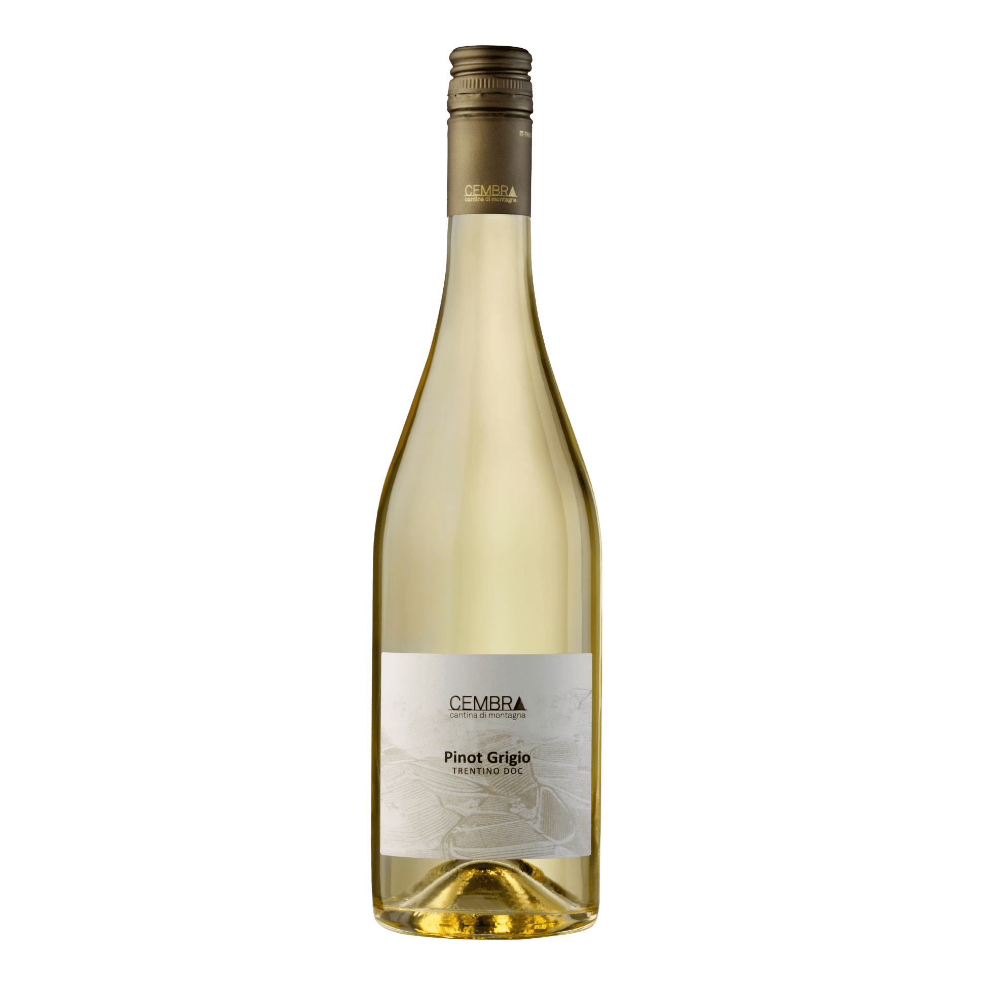 Cembra Pinot Grigio Trentino DOC 2022 - DiVino.com.au