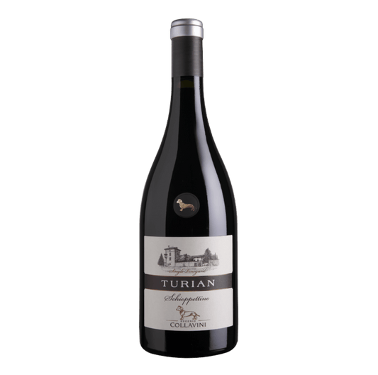 Collavini Ribolla Nera IGT 2021