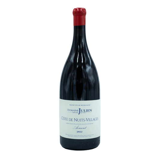 Domaine Gerard Julien & Fils Côtes de Nuits 'Armand' 2022 - DiVino.com.au