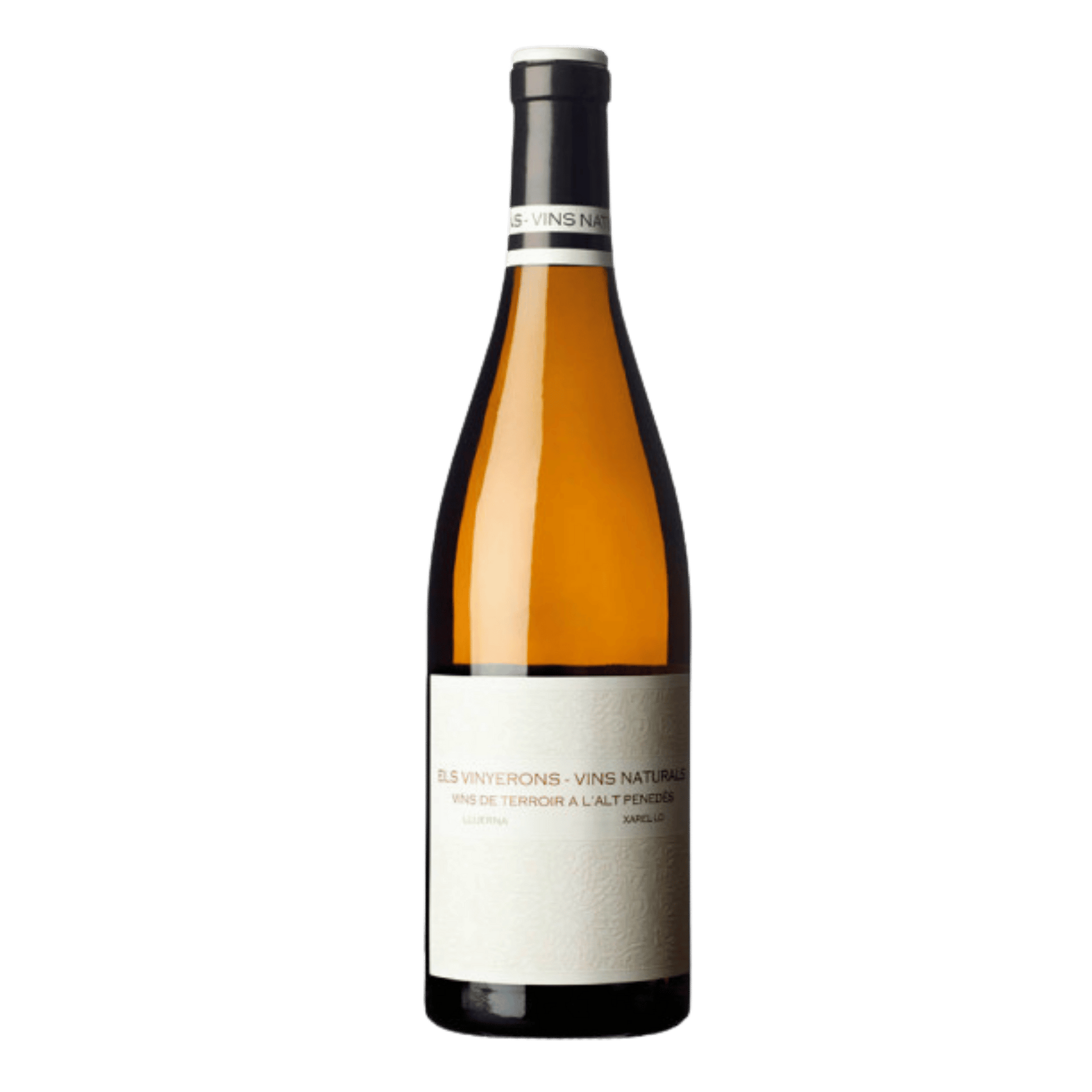Els Vinyerons LLuerna Blanco Xarel-Lo 2024 - DiVino.com.au