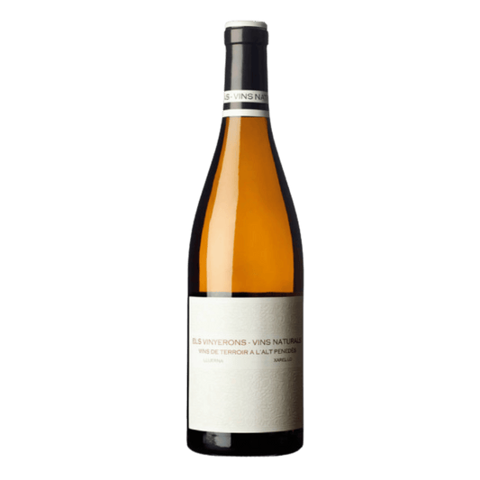 Els Vinyerons LLuerna Blanco Xarel-Lo 2024 - DiVino.com.au