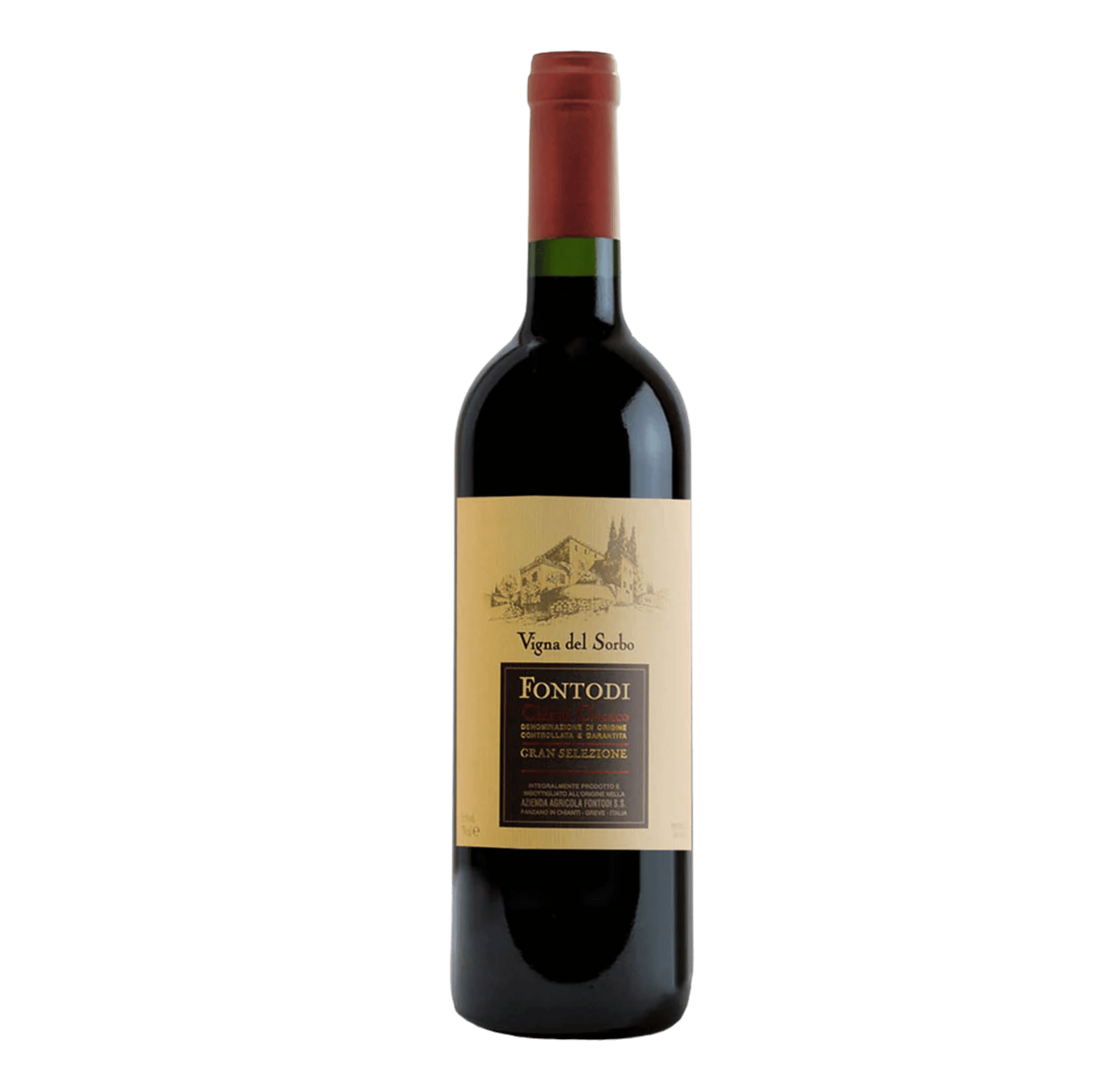 Fontodi Vigna del Sorbo 2020 - DiVino.com.au