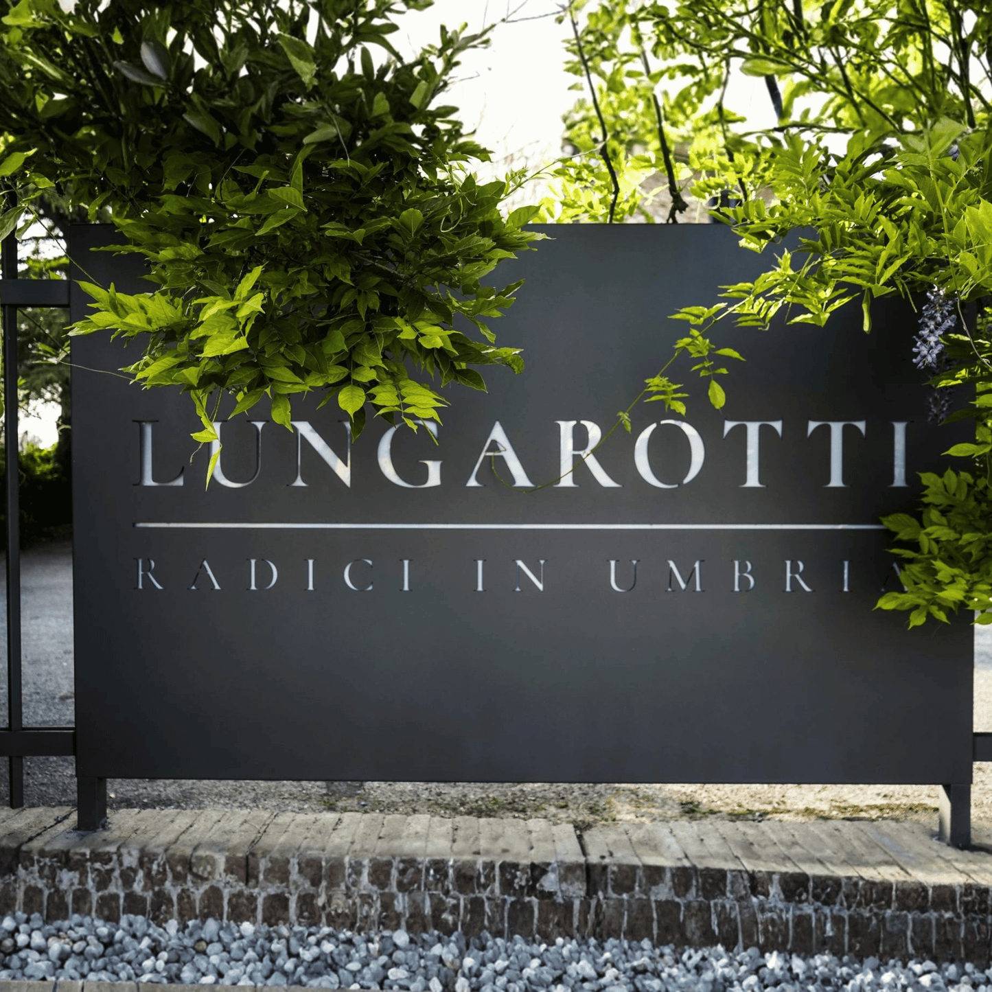 Lungarotti Umbria Italian Wine Dinner at Bar Sasso Brisbane