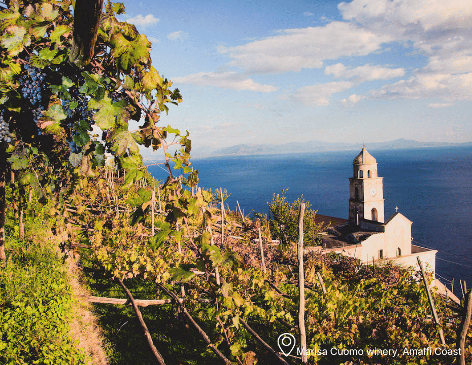 Italian Wine Trip - Ischia, inland Campania & Amalfi Coast - 10-17 July 2026 DEPOSIT